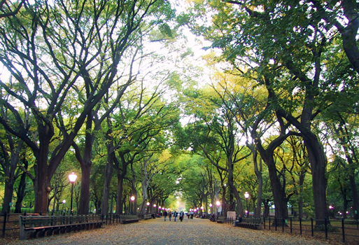 centralpark